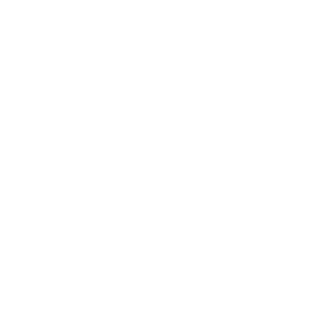 PLA-Weever's emblem