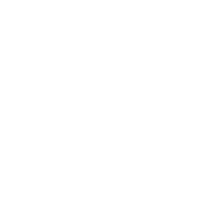 Inra1n's emblem