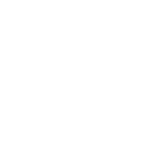 DBSTORM's emblem
