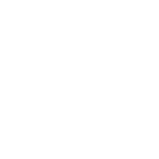 6902N's emblem