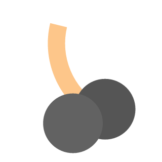 artemeramon's emblem
