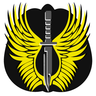 OMGitsCCinHD's emblem