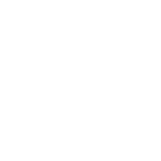 xXstLth's emblem