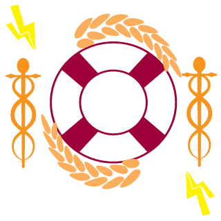 Ddust123456's emblem