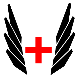 TheIncoherent's emblem