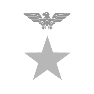 Williboy49's emblem