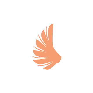 1dontcareaboutID's emblem