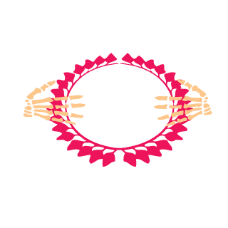 localweathermans's emblem