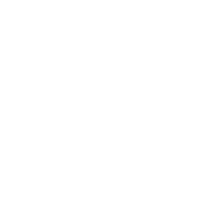 IAIRGAMERI's emblem