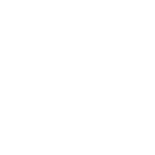 Viltsu100's emblem