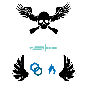 bRaVaDaL3W1S's emblem