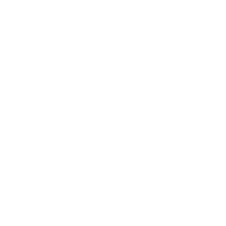 Batzen9999's emblem
