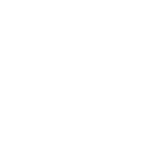 fa4dan's emblem