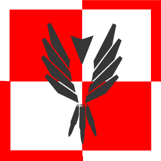 SteveNakaCYBER's emblem