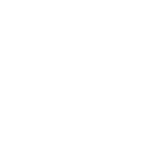 NINEBOOM's emblem