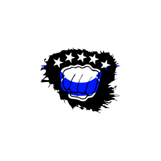 mpv520's emblem