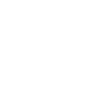 L3wyy's emblem
