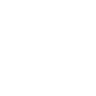 CyberSecurity96's emblem
