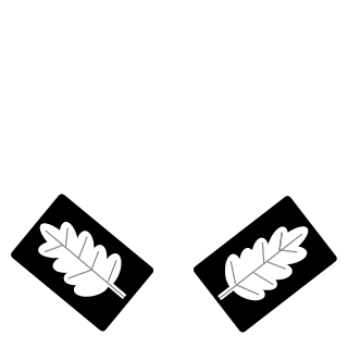 Smda123's emblem