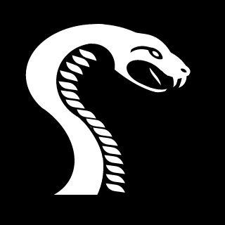SnakeDBR's emblem