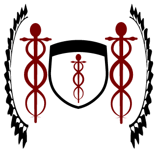13a8373e5a01e20e's emblem