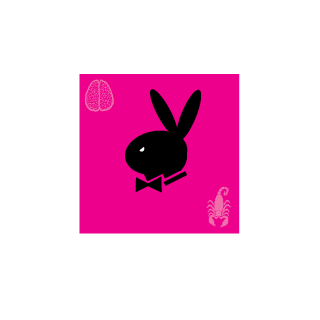 NunosilvaS2's emblem