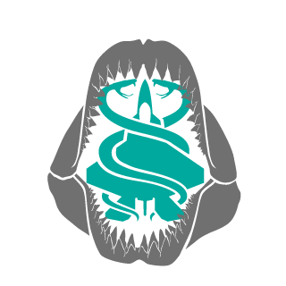OIceHead's emblem