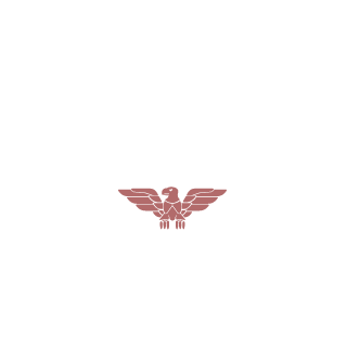 TickleParty22's emblem