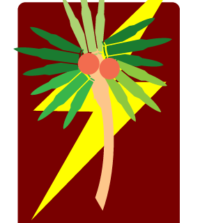 Tropic Lightning's emblem