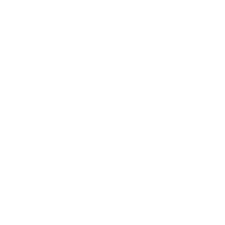 BrotherHulio's emblem