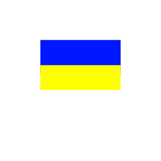 boruhakost's emblem