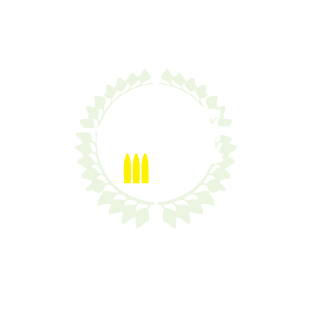 FlyingCarrot11's emblem