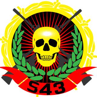 BROTHERS IN ARMS's emblem