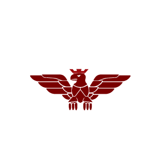 SaiintBrisson's emblem