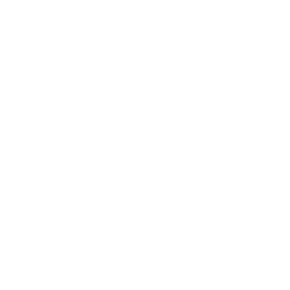 Disco_Ded's emblem