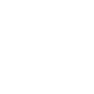 Icelyon's emblem