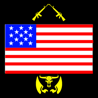 Team Merica's emblem