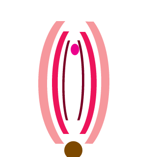 Police211's emblem