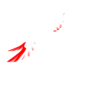 CorvoMS's emblem