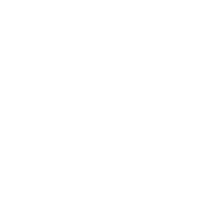SamAdams2017's emblem