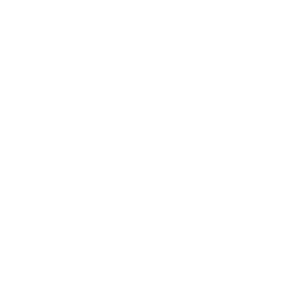 zoiberg2099's emblem