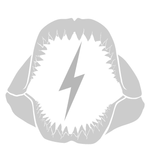Loch_im_Hemd's emblem