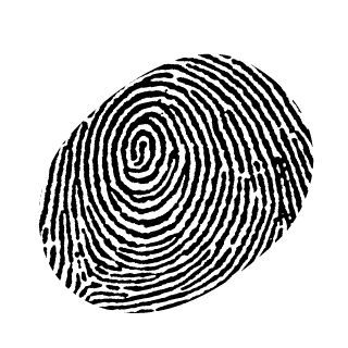 PubStar95's emblem