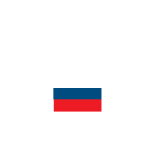 BOCHA24RUS's emblem