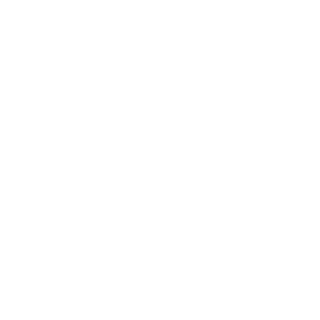 virgilius100's emblem