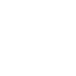 Hoschily's emblem