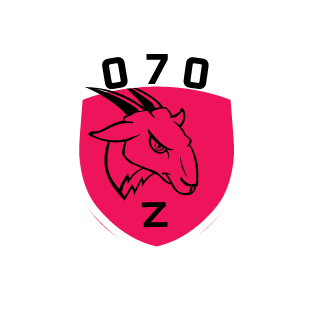 StileresOR's emblem