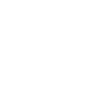 -8BIT-Antrax's emblem
