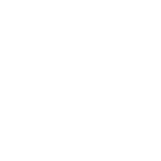 reiev2's emblem