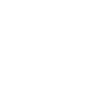 Fyna1021's emblem